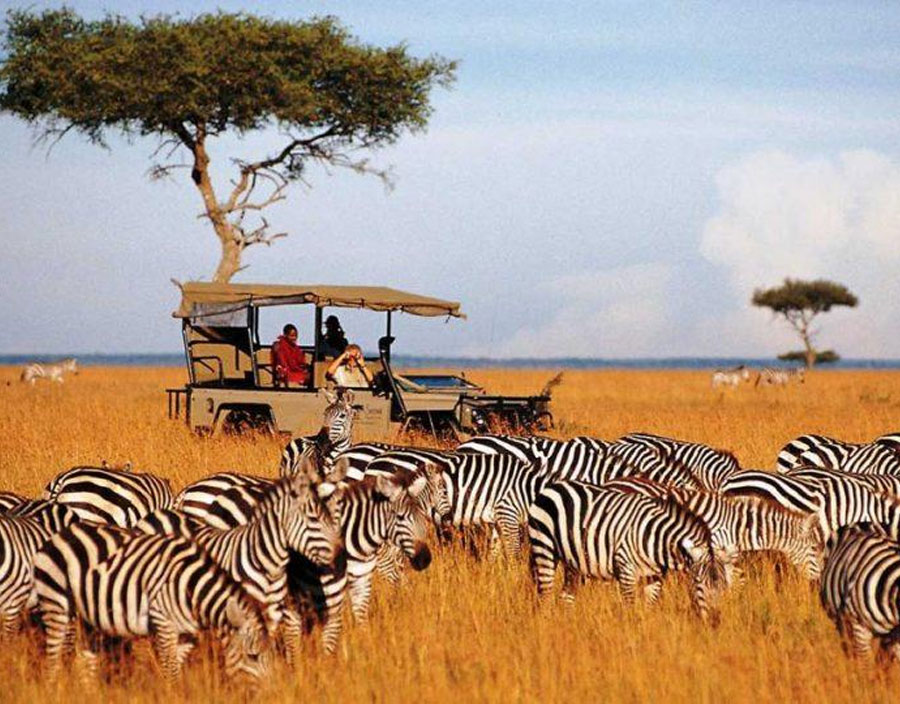 Aaron Judi Byrne Review